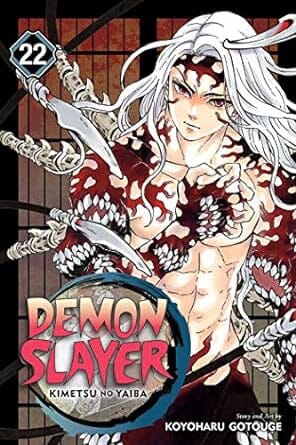 Demon Slayer: Kimetsu no Yaiba, Vol. 22 (22) Paperback Comics NEW Diamond Comic Distributors, Inc.